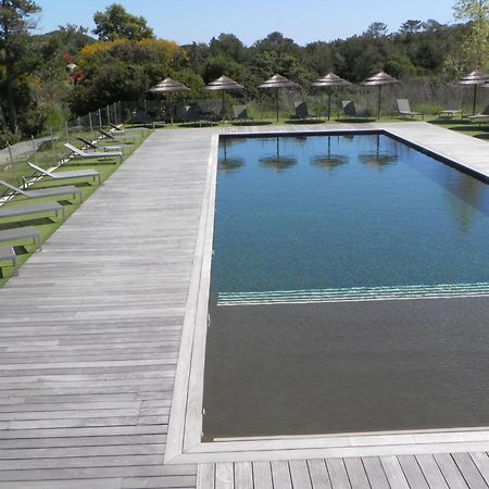 Studio 4 Pers Piscine Chauffee Acces A Pied A La Plage Santa Giulia 포르토베쉬오 외부 사진